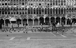 Piazza San Marco