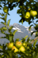 Alto Adige agosto 2007