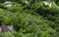 Trauttmansdorff
