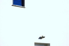 Dettagli al sole