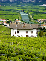Trentino