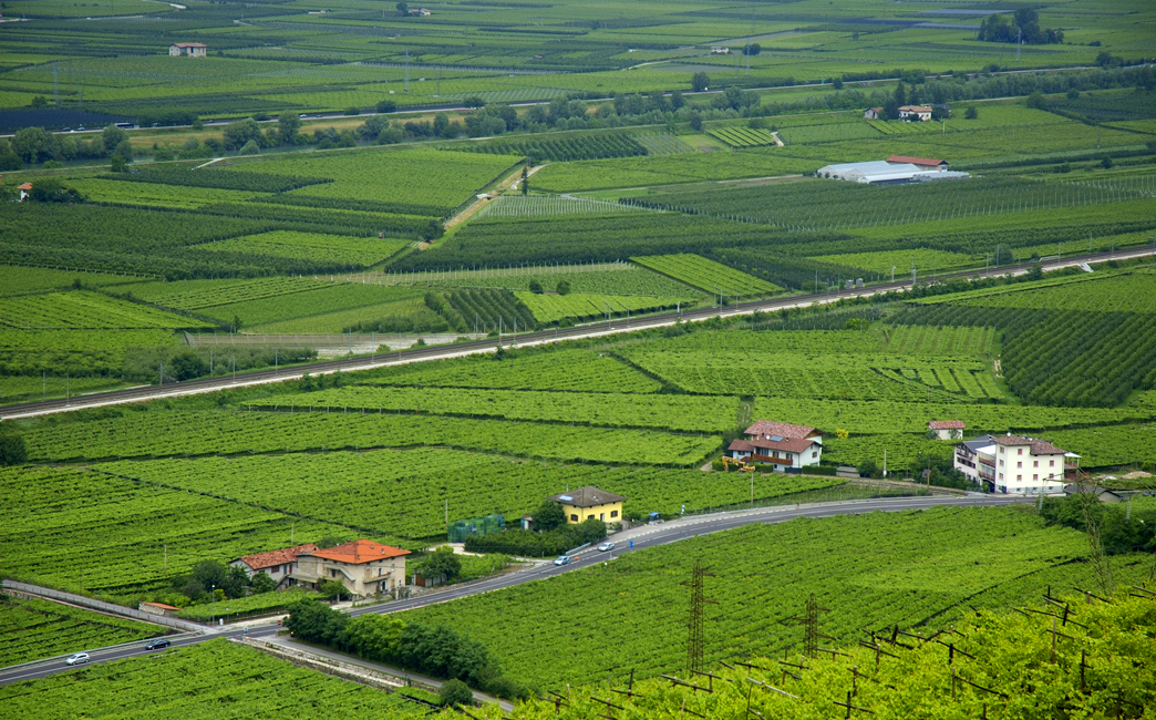 Trentino
