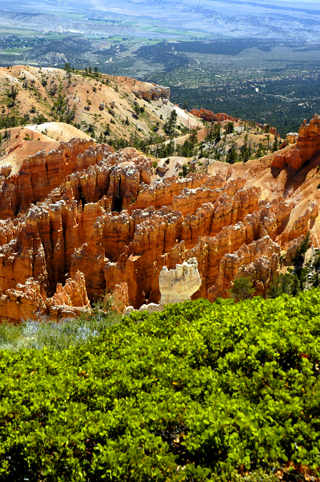 Bryce