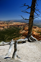 Bryce Canyon