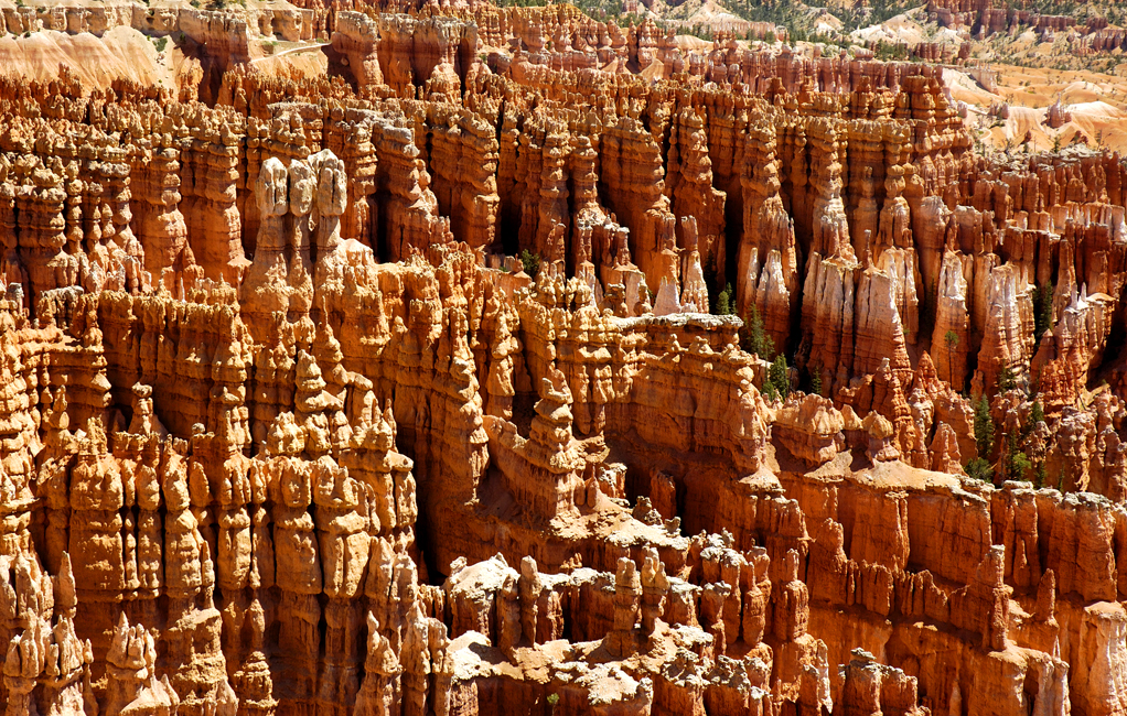 Bryce