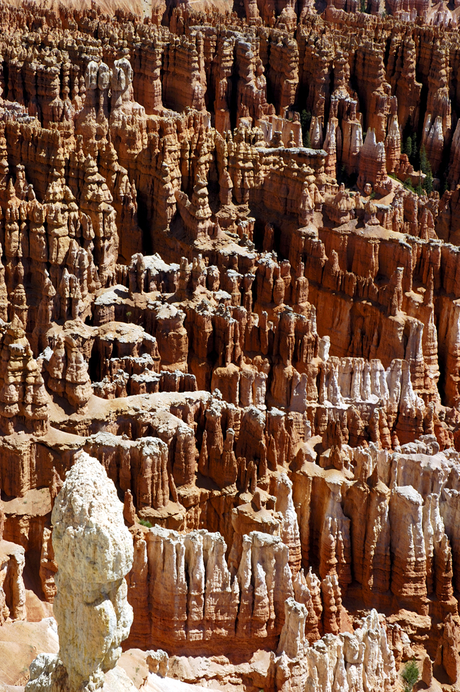 Bryce