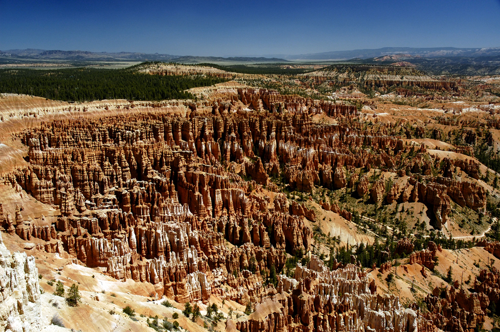 Bryce