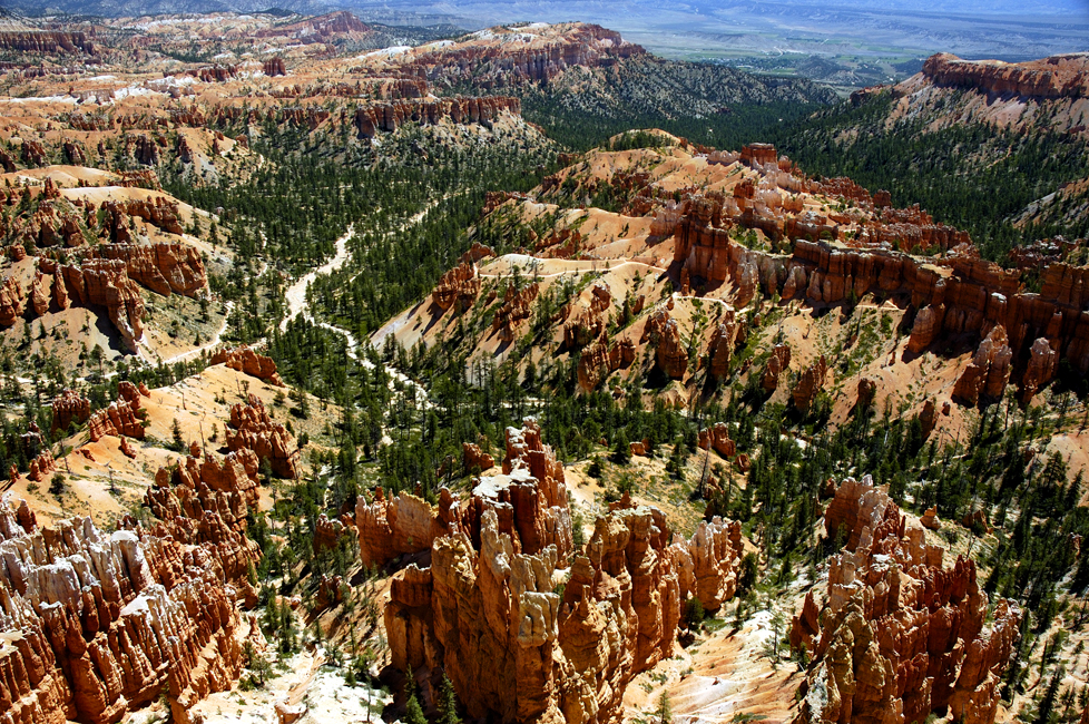Bryce