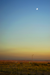 Alba