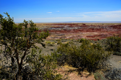Deserto dipinto