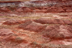 Deserto dipinto