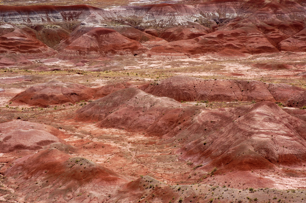 Deserto dipinto