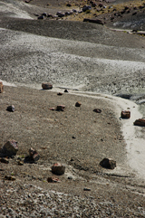 Foresta di pietra
