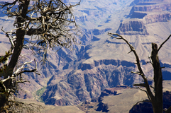 Grand Canyon 2