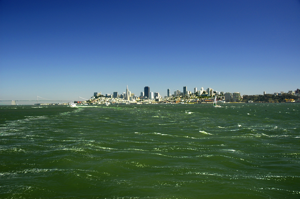 Baia di San Francisco