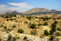 Verso Santa Fe