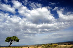 Verso Taos
